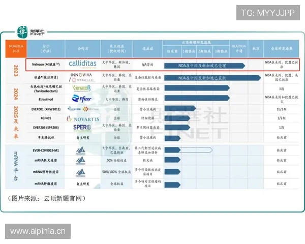 开云滚球盘最新玩法解析助你轻松掌握投注技巧提升盈利水平