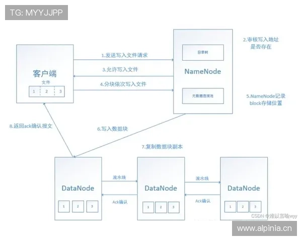 解读开云电子视频的核心技术：让视频播放更加流畅与精彩