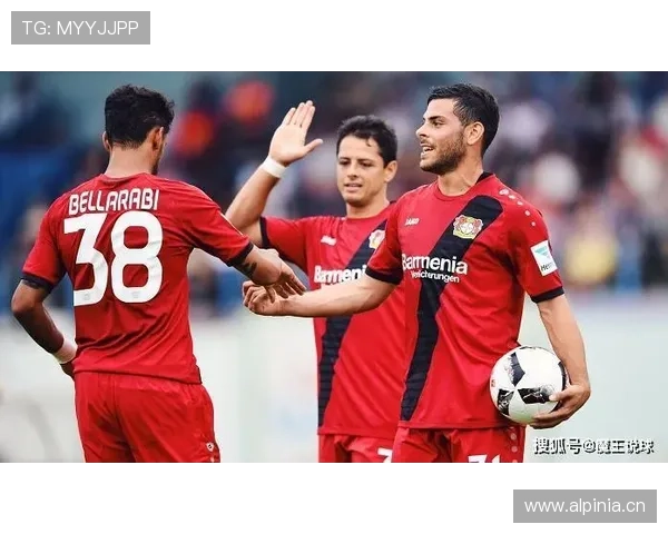 开云娱乐网站赞助勒沃库森带来的品牌曝光与市场拓展新机遇详解